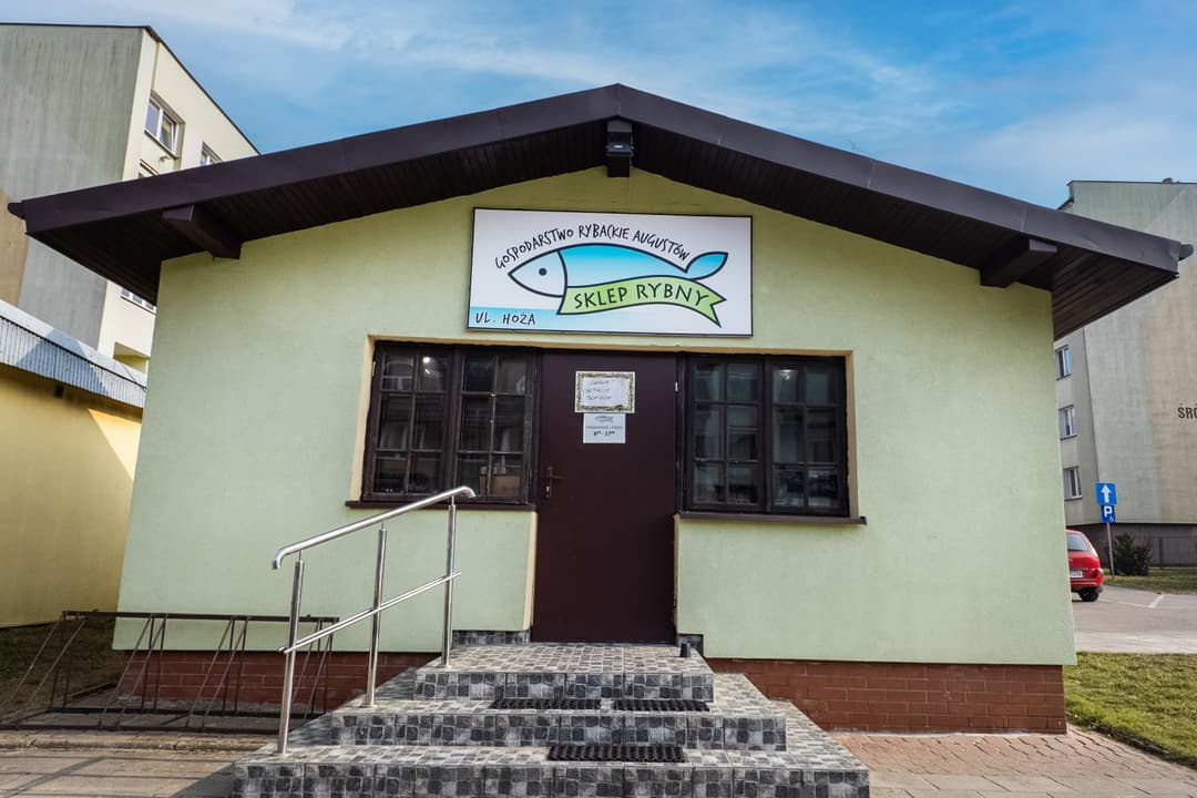 Świeże ryby na wystawie